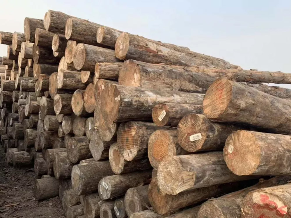 辐射松3.9米，5.9米小A、中A