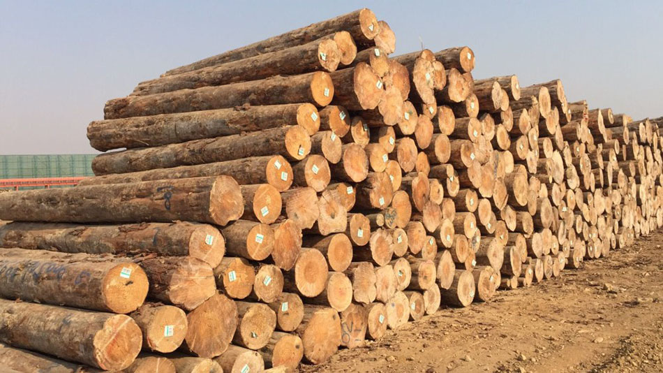 进口原木