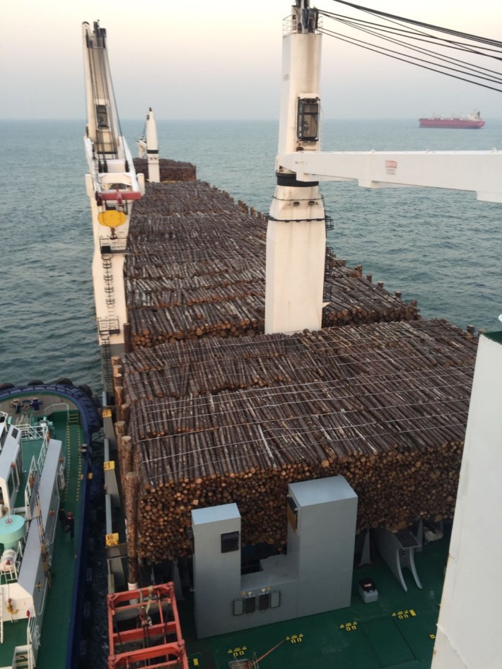 百意原木散货船